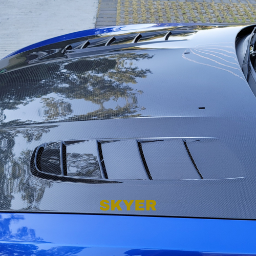 BMW Z4 Vented Carbon Hood